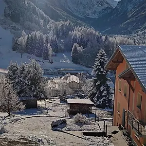 Flora Alpina , Temù Italia